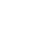 CHIROPRACTIC - WHITE CHIROPRACTIC - WHITE