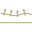 Acupuncture-THERAPY-Adelaide